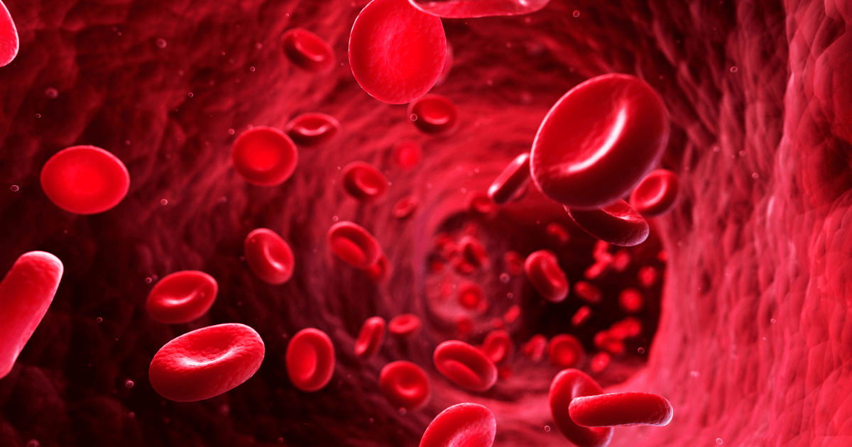 Things You Should Know About Your Own Body