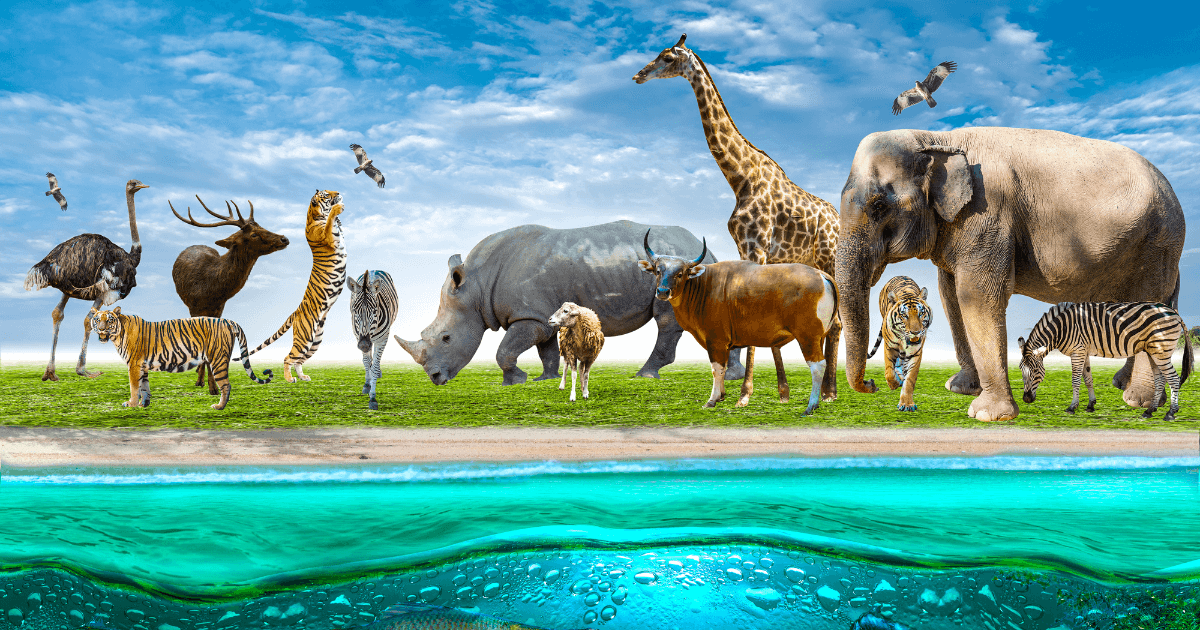 Animal Facts Quiz: Can You Score 10/10?