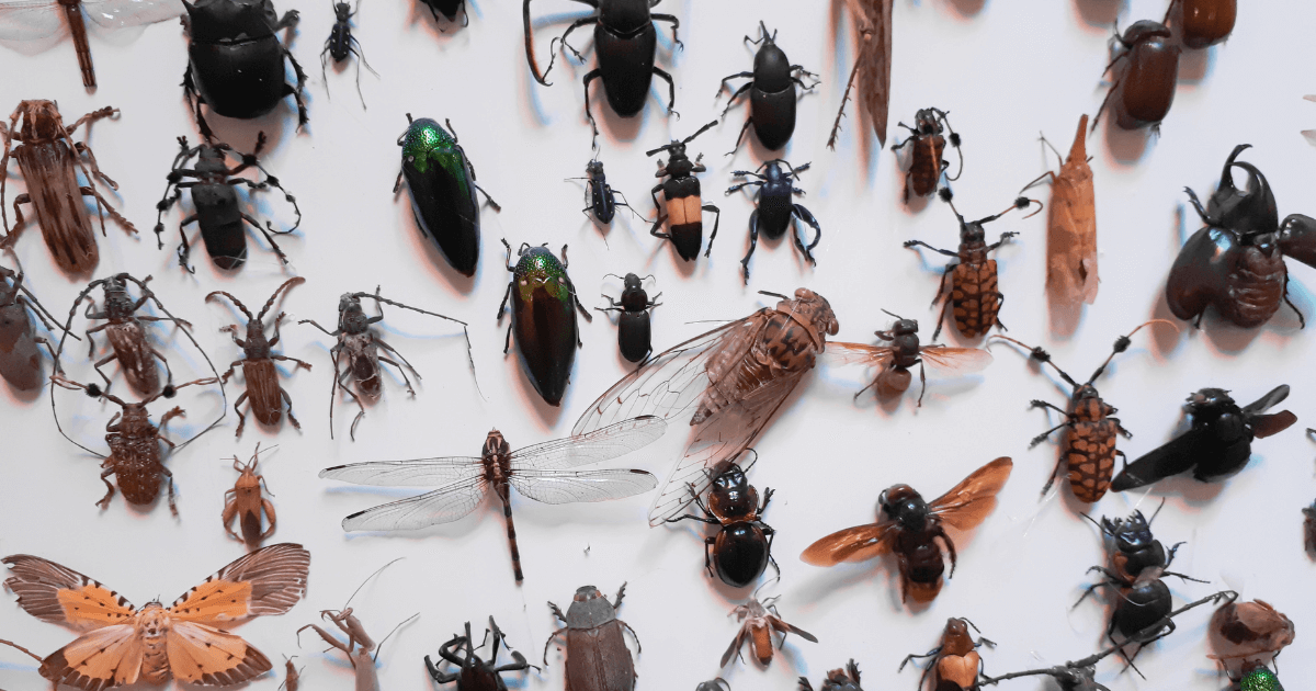 20 Science Questions That Seem Easy… But Are They?
